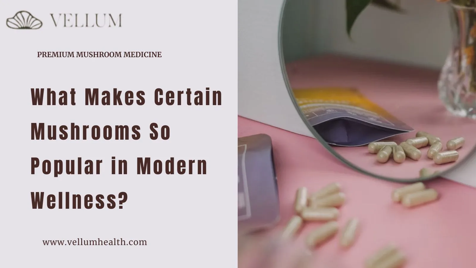 The Complete Guide to Medicinal Mushrooms: Benefits, Types, Uses, and Safety