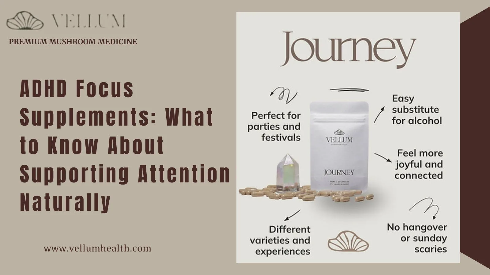 ADHD Focus Supplements: What to Know About Supporting Attention Naturally