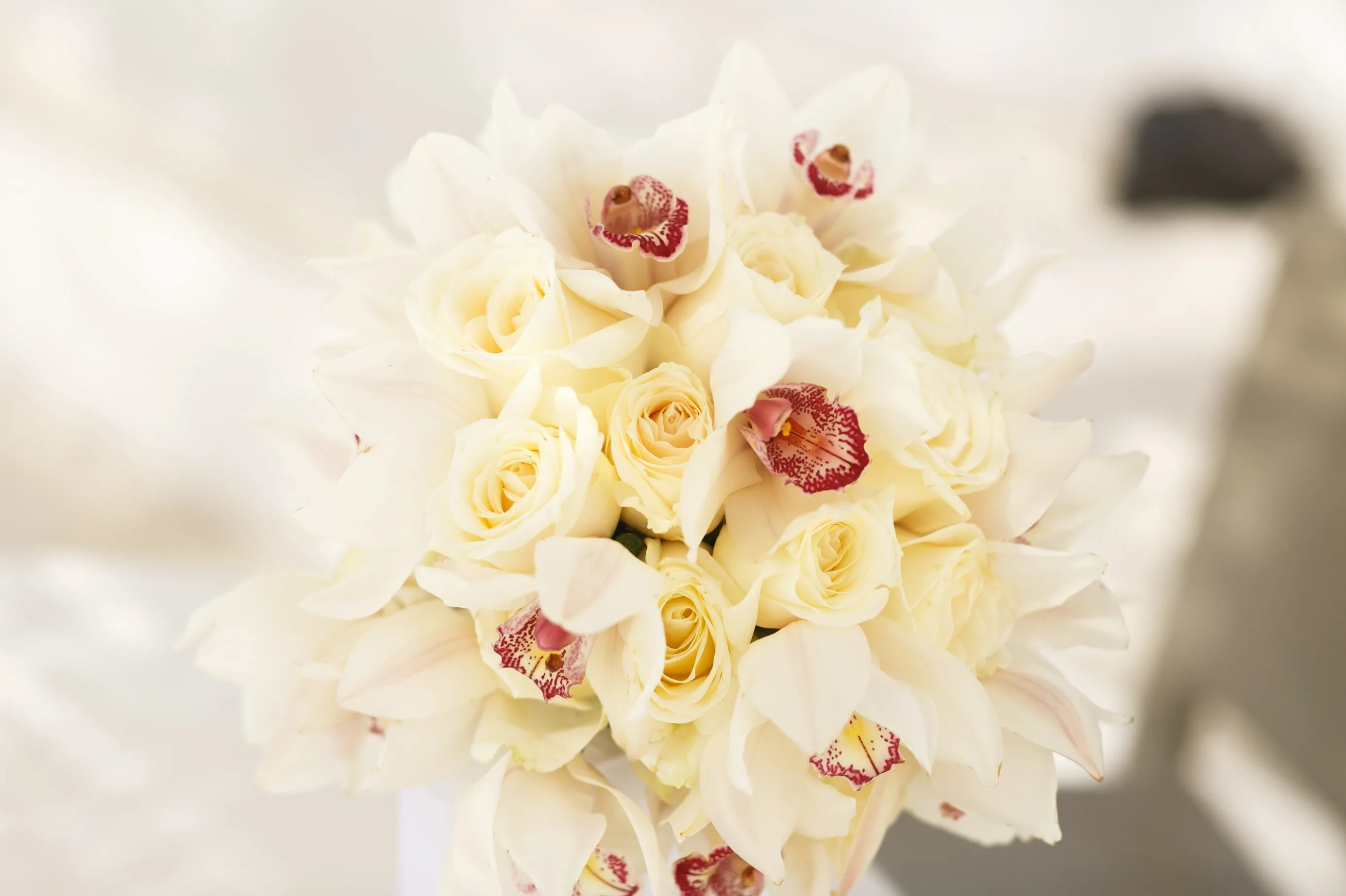 7 Reasons a White Orchid Flower Bouquet Makes a Timeless Gift