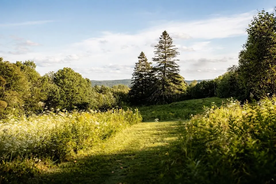 How a Maine Retreat Can Turn Food and Nature Into an Experience