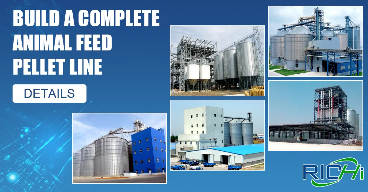 How to Set Up an Efficient Small and Medium Scale Feed Factory