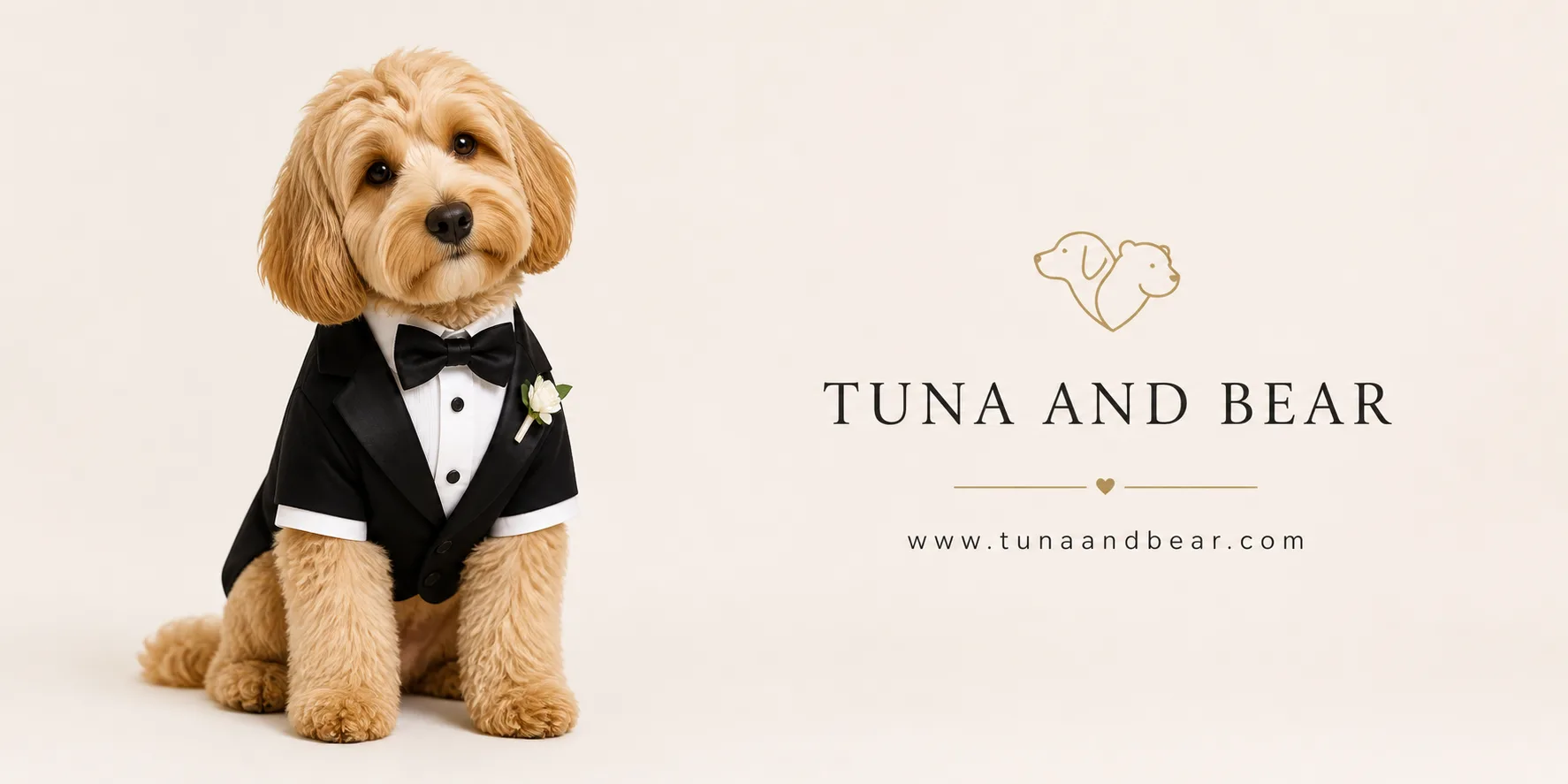 The Ultimate Guide to Styling Your Dog for Special Events