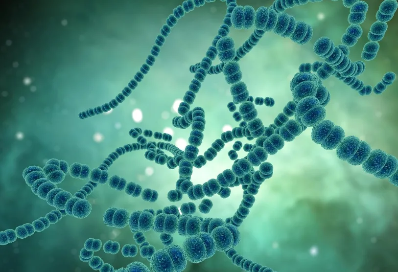 How Sanger Sequencing Helps Researchers Confirm DNA Accuracy