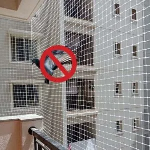 Benefits of Installing Bird Protection Nets in Chennai