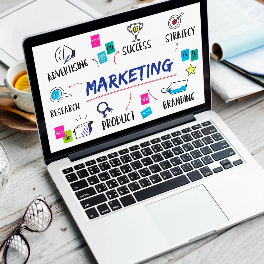Best SEO Service Providers in India: Improve Rankings and Grow Your Business