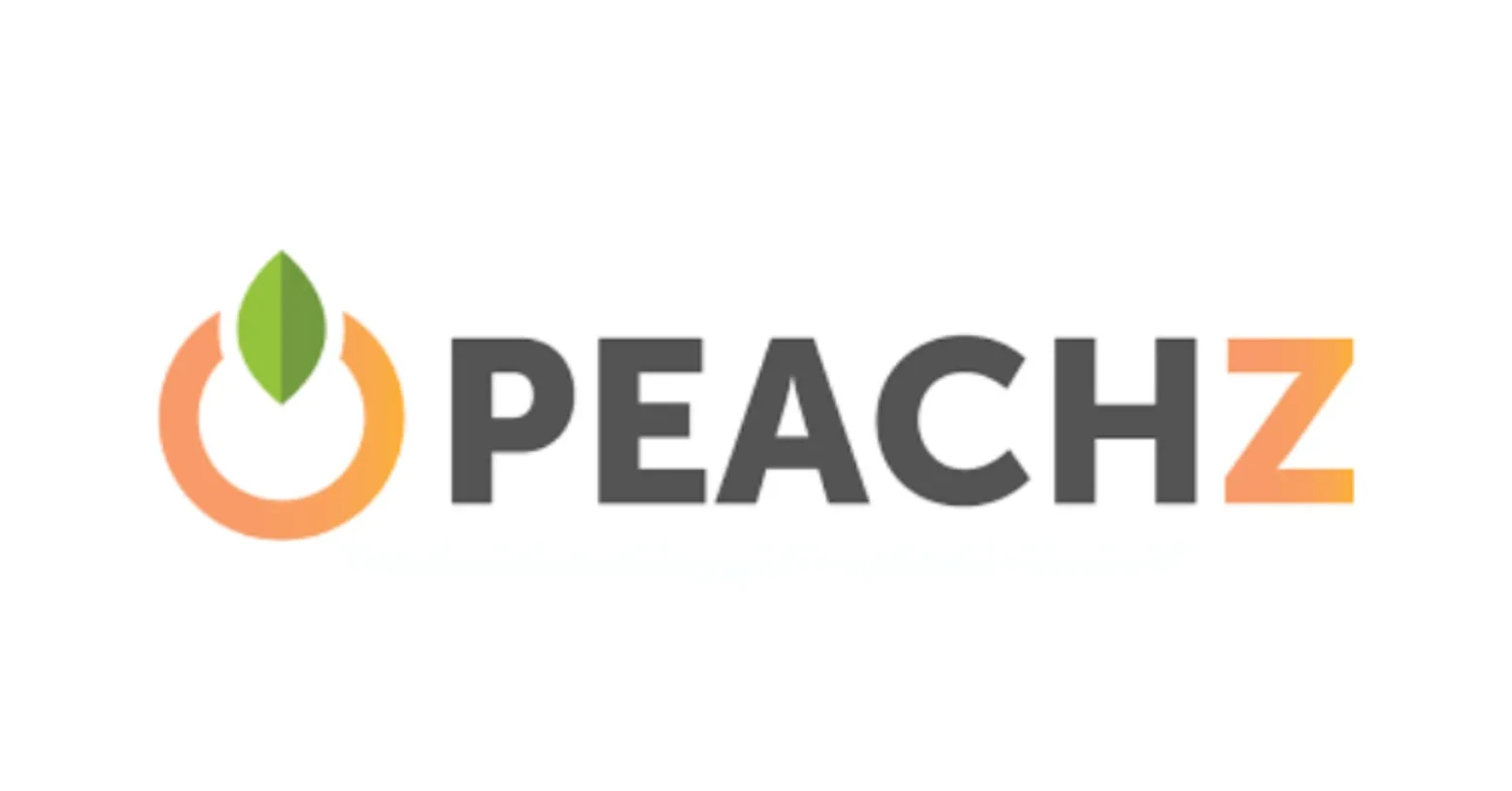 Peachz Puts Car Phone Holders and Cables in Reach Nationwide