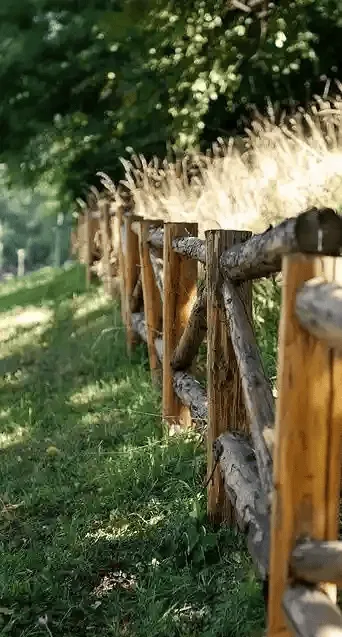 Split Fence Black Locust Cost: Is It Worth the Investment?