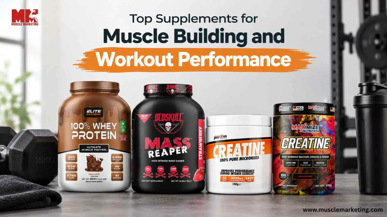 Top Supplements for Muscle Building and Workout Performance