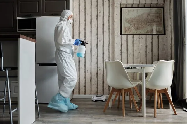Ways to Effectively Handle a Mold Infestation