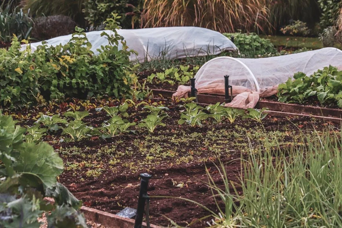 How Climate-Adaptive Gardening Is Shaping the Future of Home Landscapes