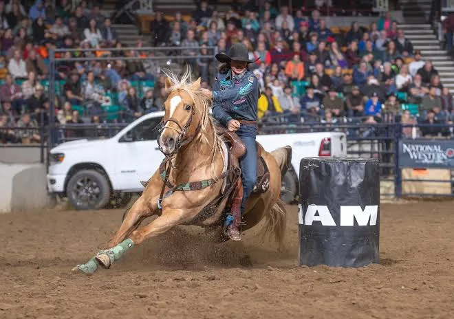 Planning to Expand Your Horse Arena? A Guide to Getting the Layout, Footing, and Drainage Right