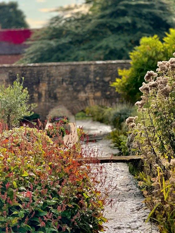The Art and Science of Designing a Year-Round Garden From Local Nurseries