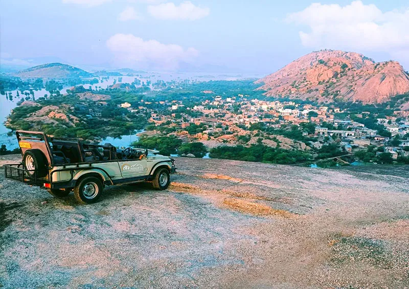 How to Plan the Ultimate Jawai Safari and Luxury Resort Stay