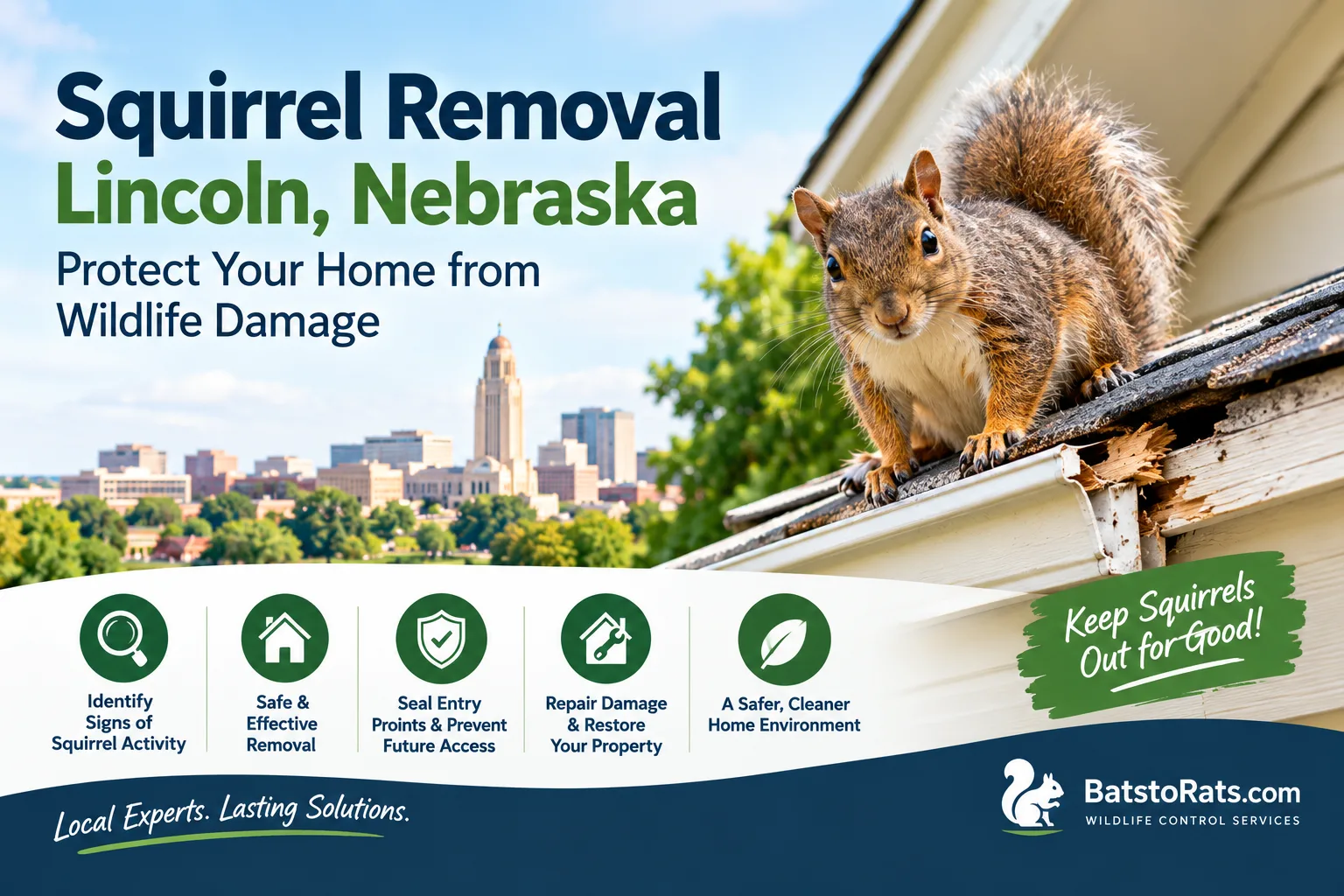 Squirrel Removal Lincoln Nebraska: Protect Your Home from Wildlife Damage