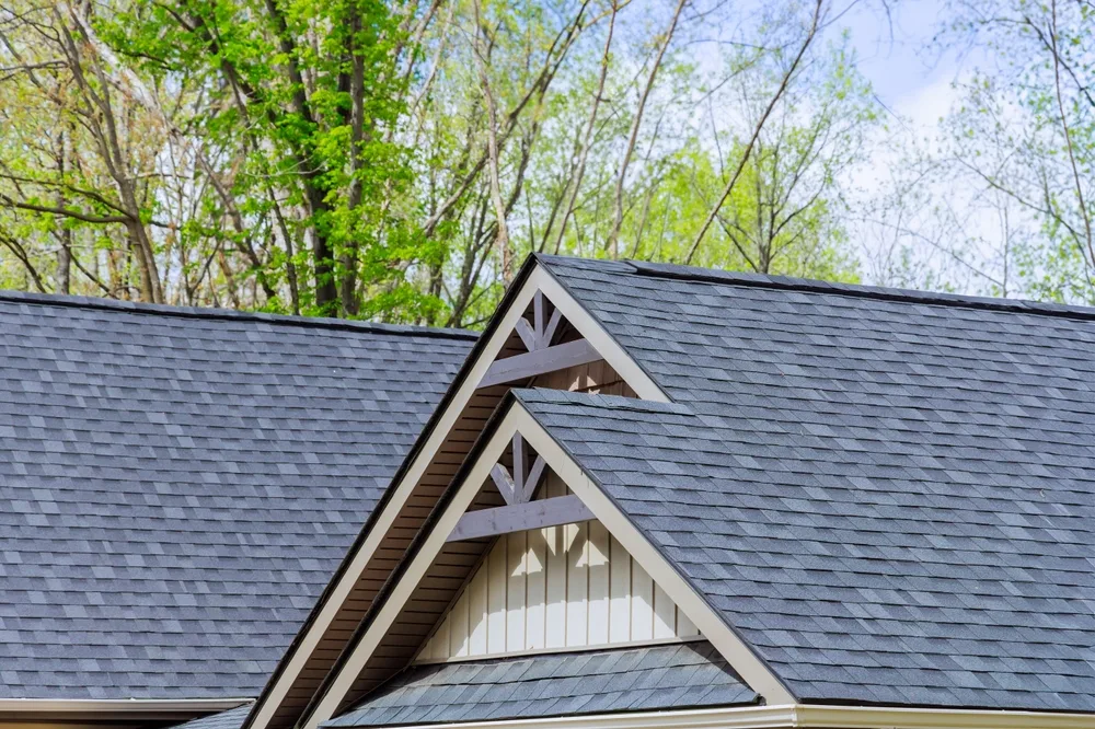 What Essential Home Maintenance Tips Should Florida Homeowners Follow?