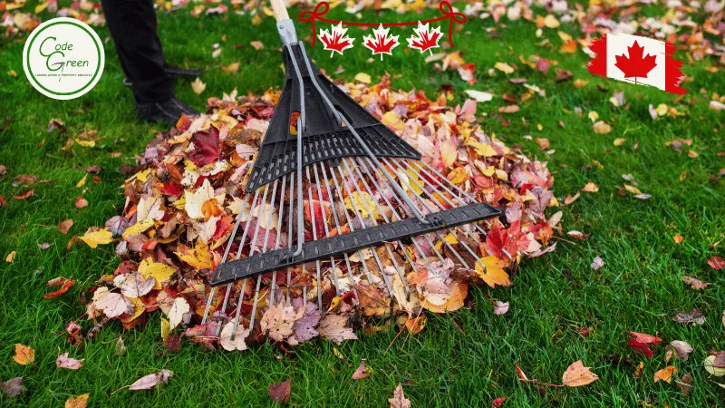 What's Included in a Yard Cleanup in Halifax?
