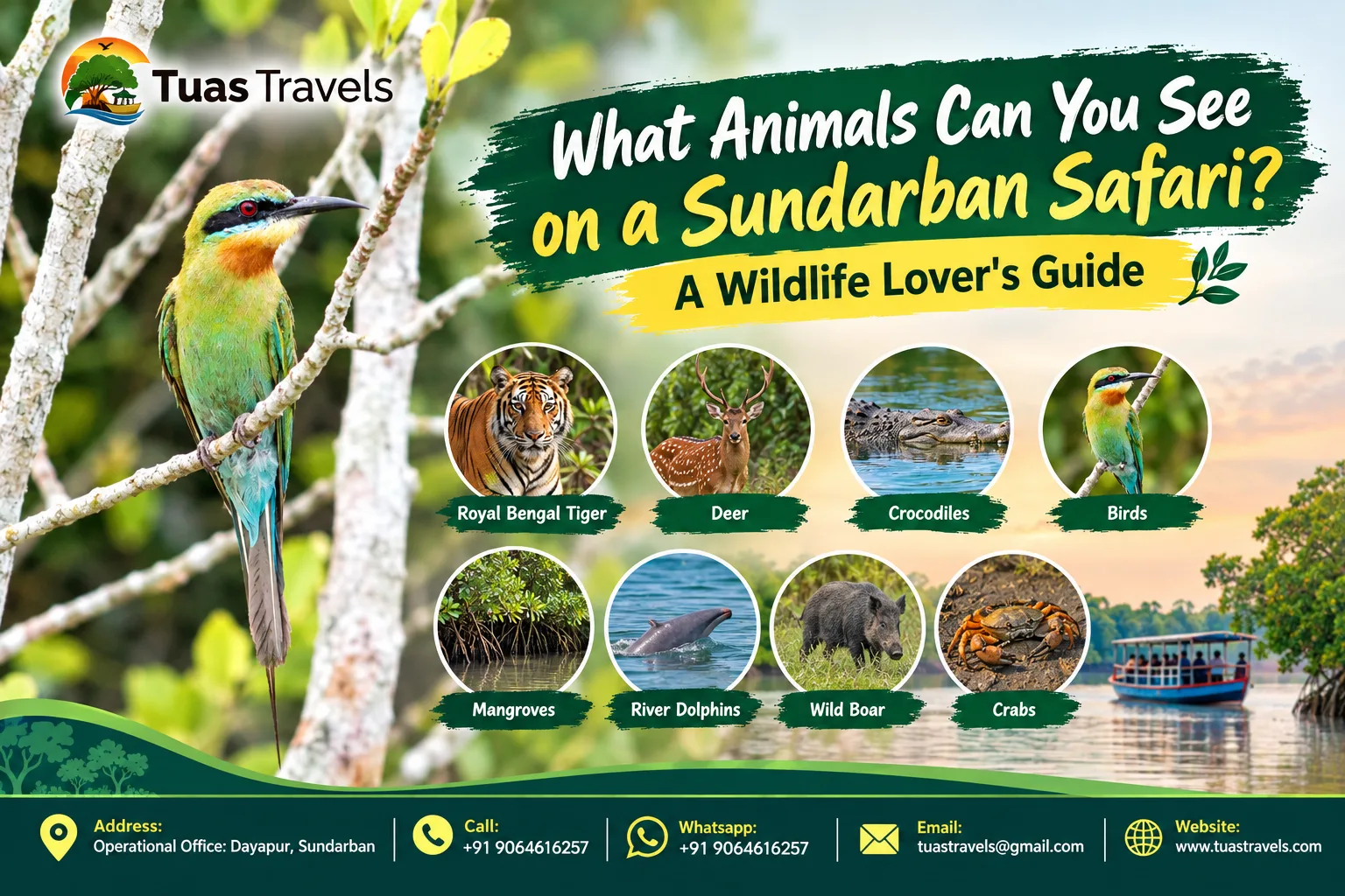 What Animals Can You See on a Sundarban Safari? A Wildlife Lover's Guide