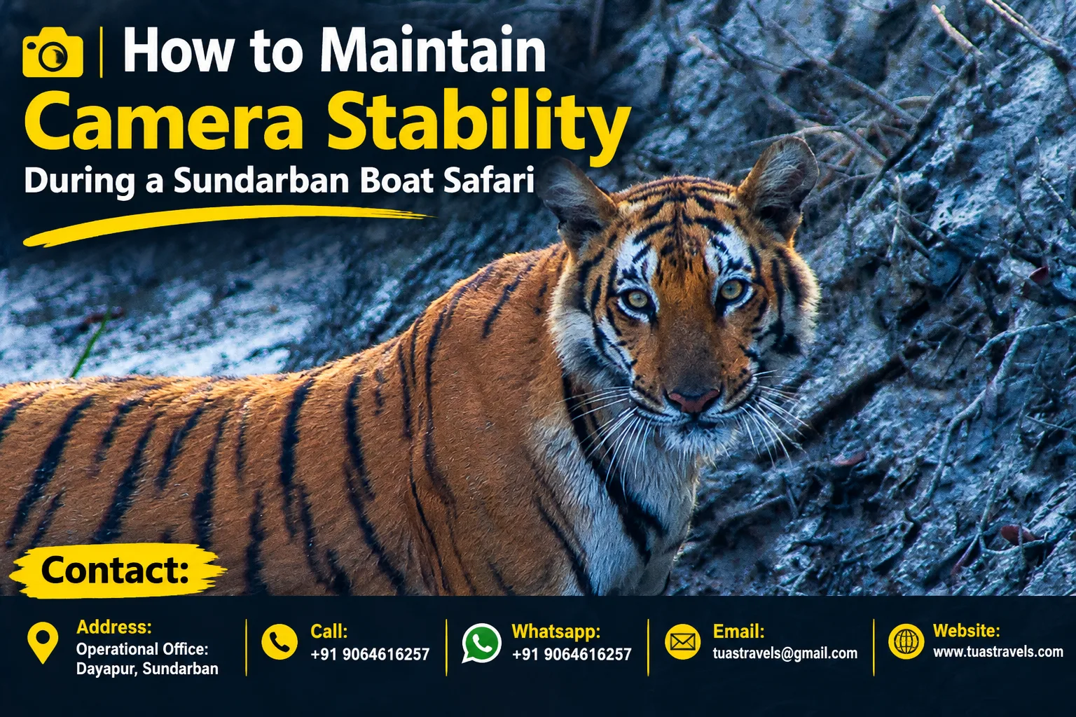 How to Maintain Camera Stability During a Sundarban Boat Safari