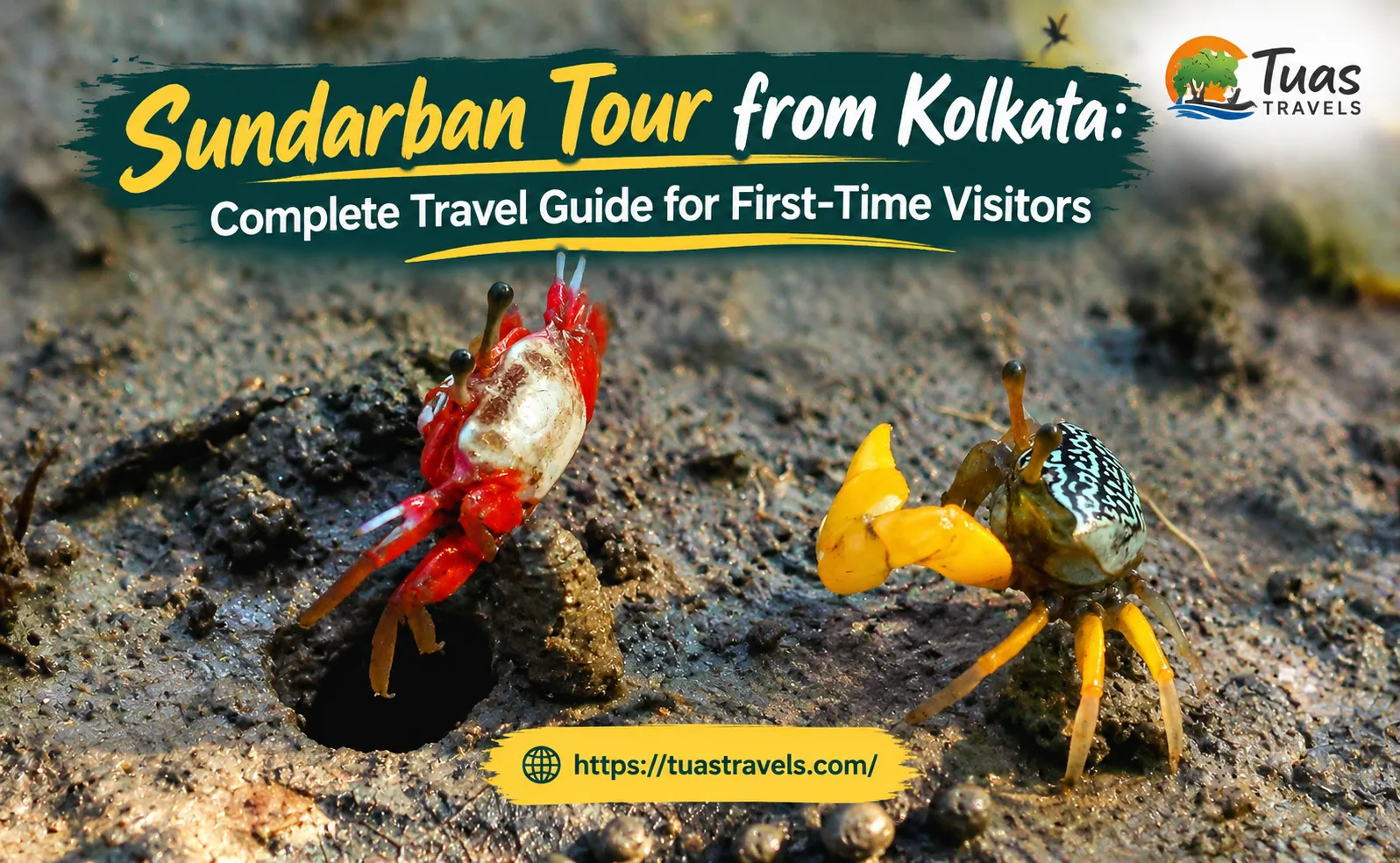 Sundarban Tour from Kolkata: Complete Travel Guide for First-Time Visitors