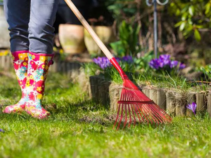 7 Common Garden Cleaning Mistakes Homeowners Should Avoid