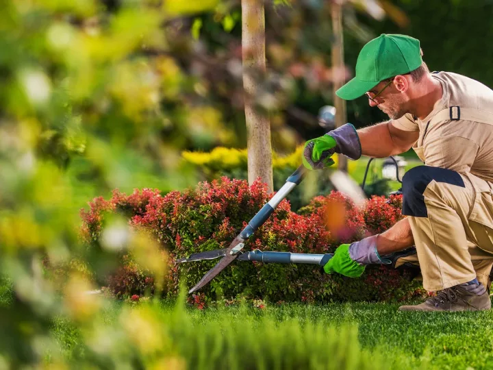 7 Benefits of Professional Garden Cleaning Services for Australian Homes