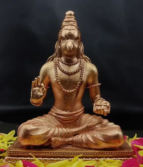 Suka Brahma Maharishi: The Sage Born of Divine Grace