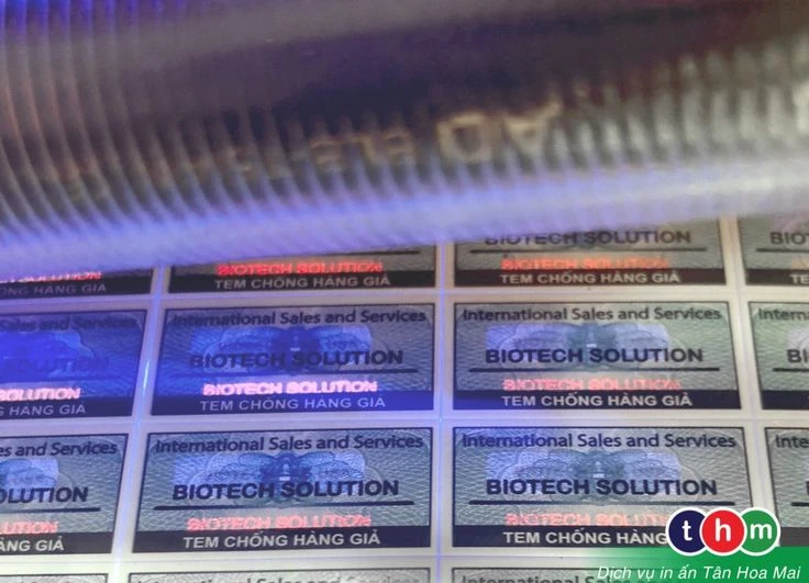 Su chuyen minh manh me cua nganh tem chong hang gia trong boi canh toan cau hoa