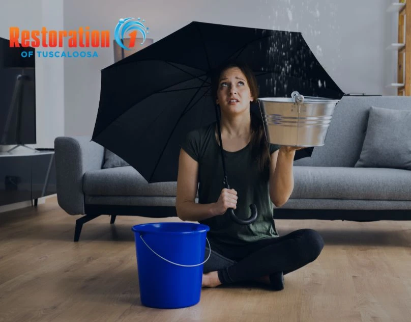 Does Water Damage Restoration Stop Mold? Timeline & Prevention Tips: