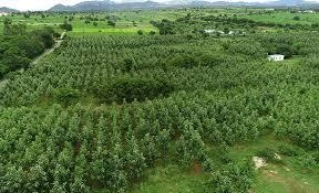 Eco-Friendly Farming Techniques for Agricultural Land in Hosur