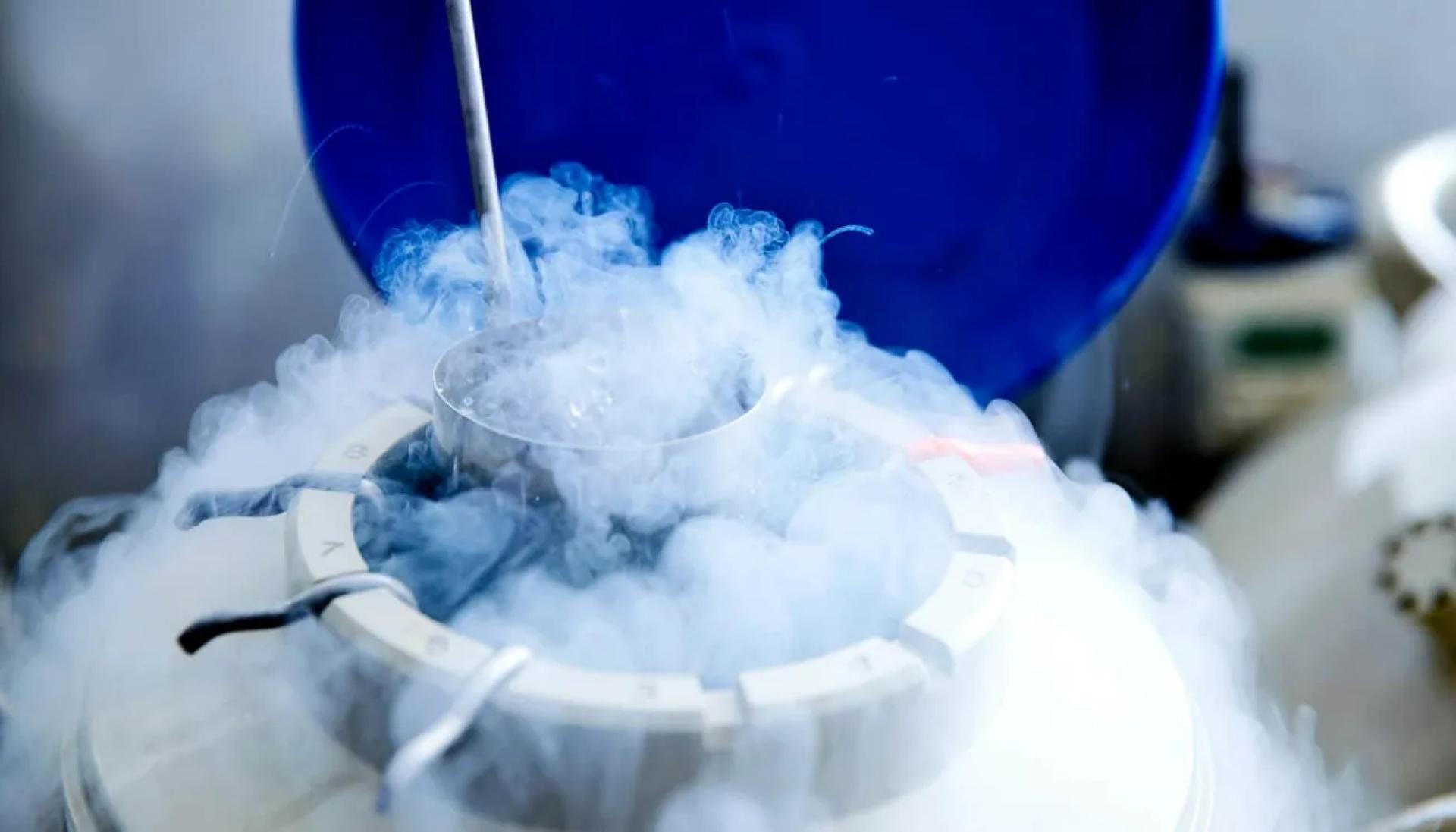 Embryo Freezing Services | Eraya Fertility