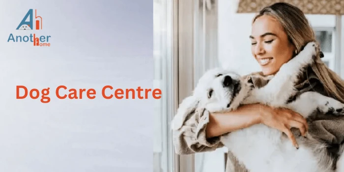 Dog Daycare Delhi – A Home Away from Home for Your Furry Friend