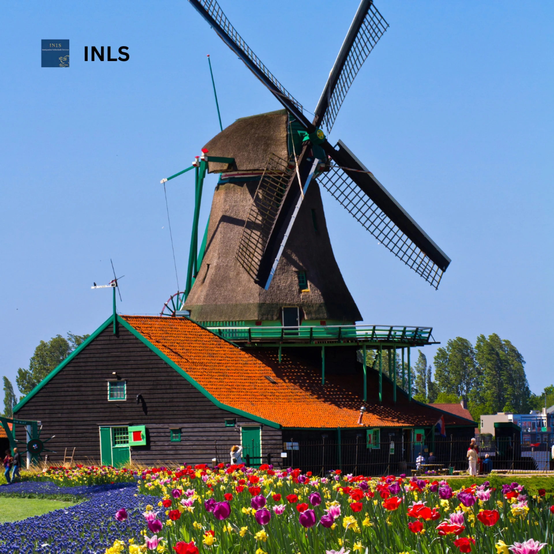 DAFT Visa Netherlands