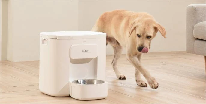 Dog Eating Healthy with Dokoo Large Dog Feeder