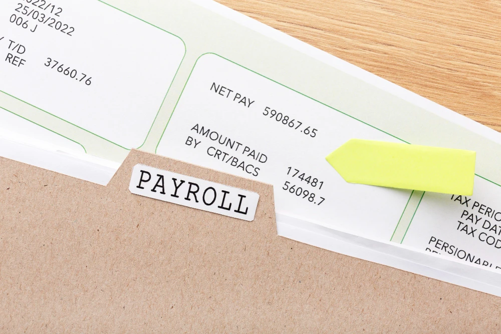 Efficient Payroll Software: Simplifying Payroll Management for Businesses