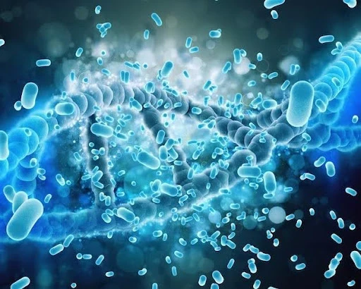 Bacillus Subtilis: Overview, Uses, Benefits