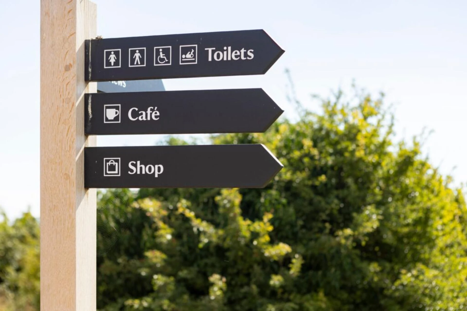 Enhancing Navigation with Wayfinding Signs in San Marcos