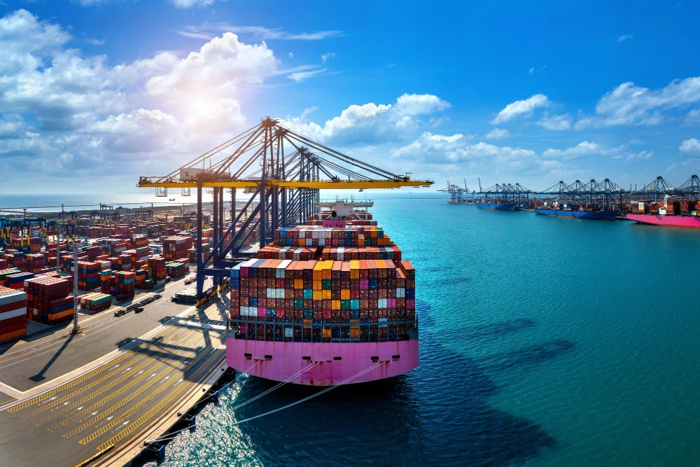 The Future of Logistics: Why Supply Chain Professionals Are in High Demand