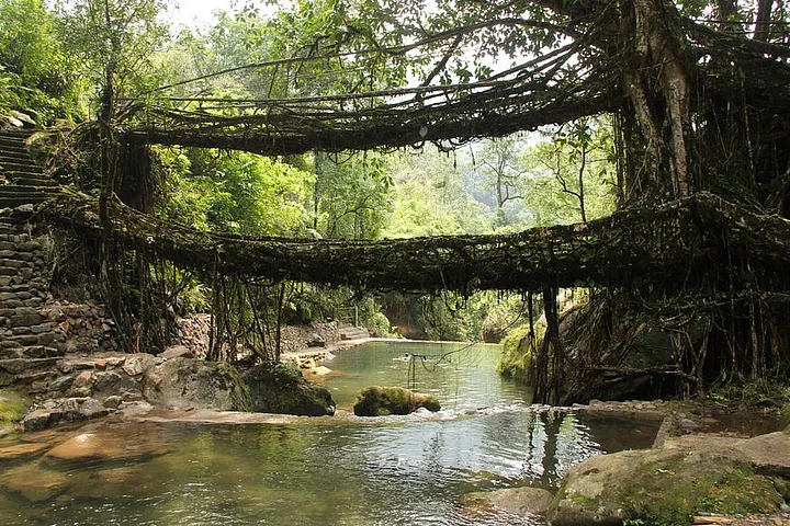 5 best meghalaya trip package