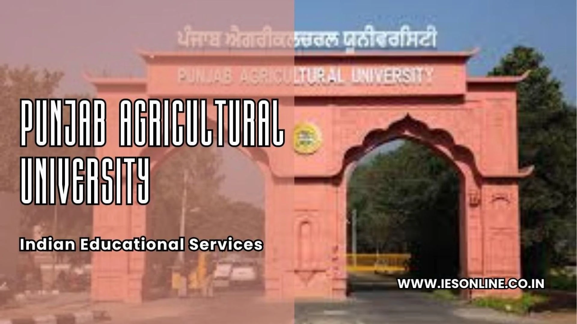 Punjab Agricultural University: Leading India’s Agricultural Transformation