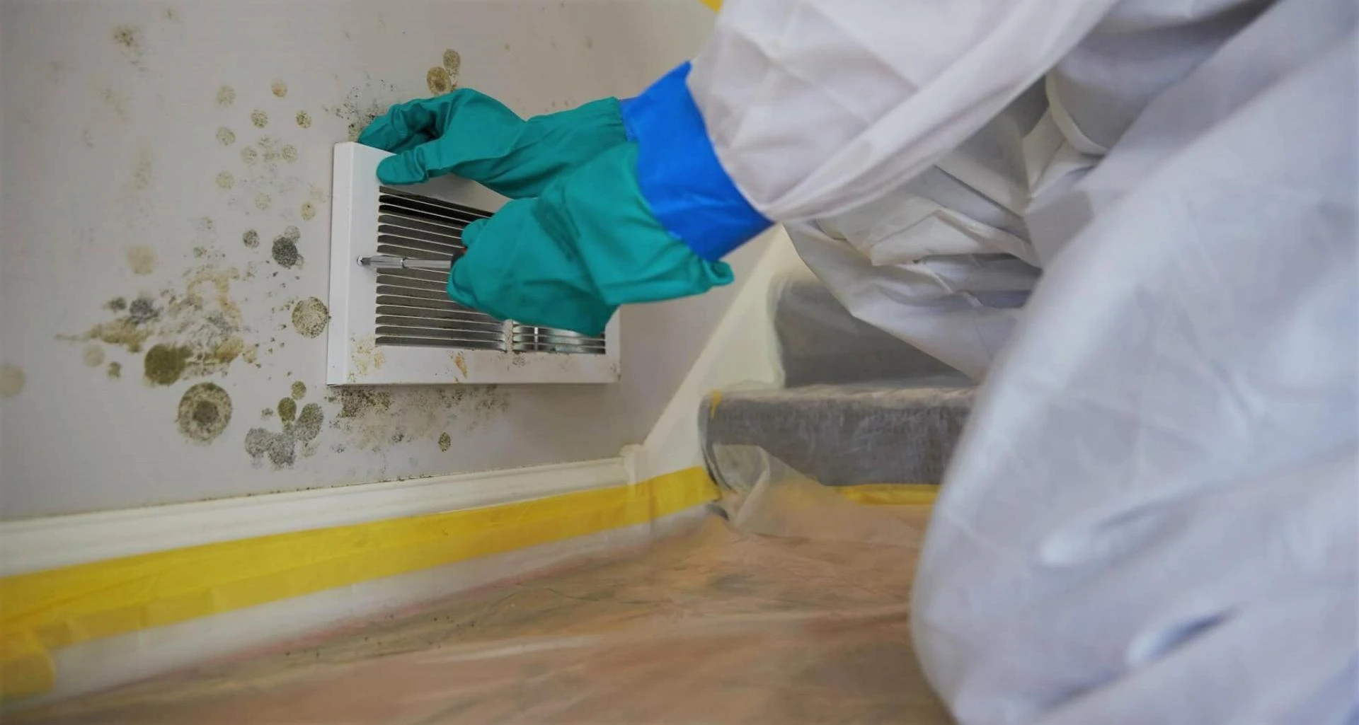 The Mold Remediation Process: What Homeowners Should Know