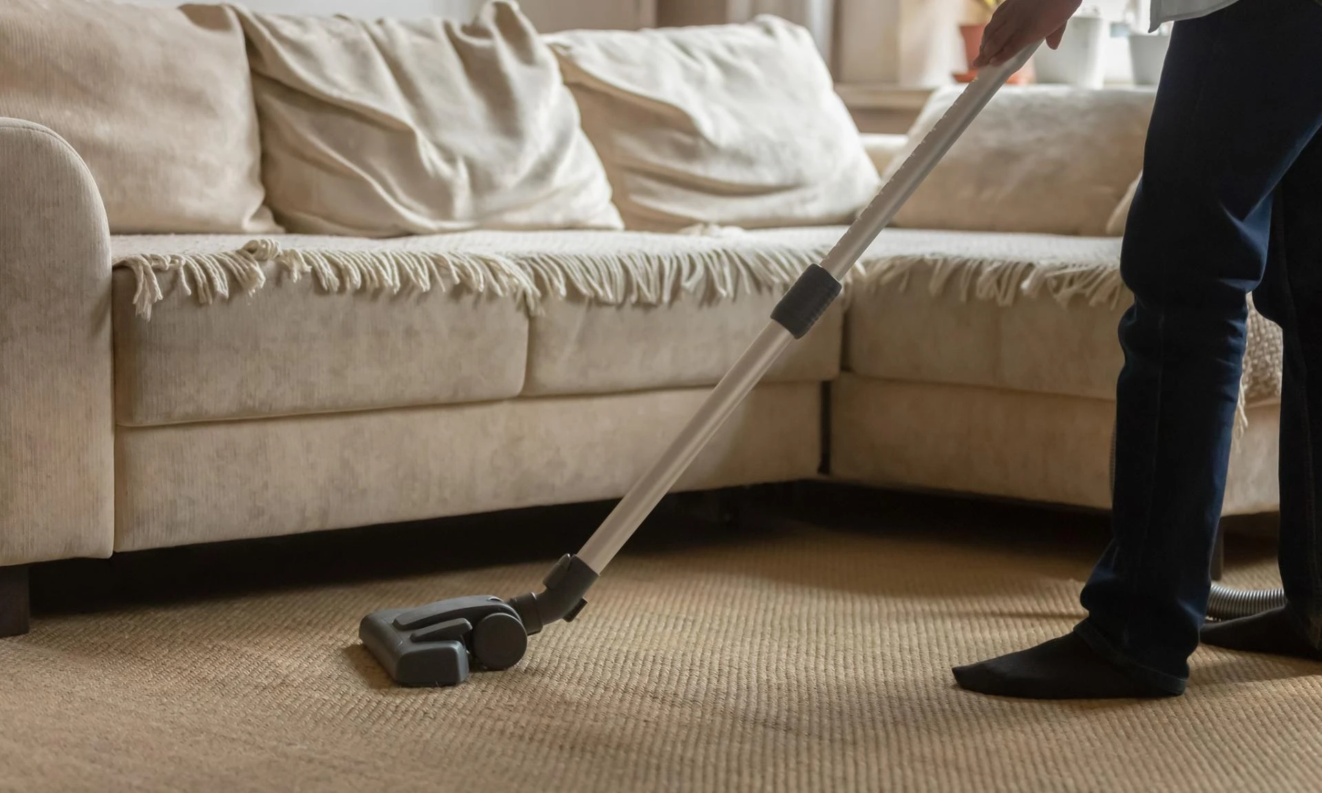 Which Carpet Cleaning Services in Miami Offer Same-Day Results?