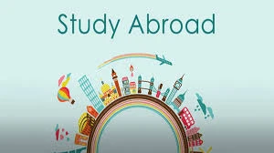 Best Courses to Study Abroad with High ROI (Return on Investment)