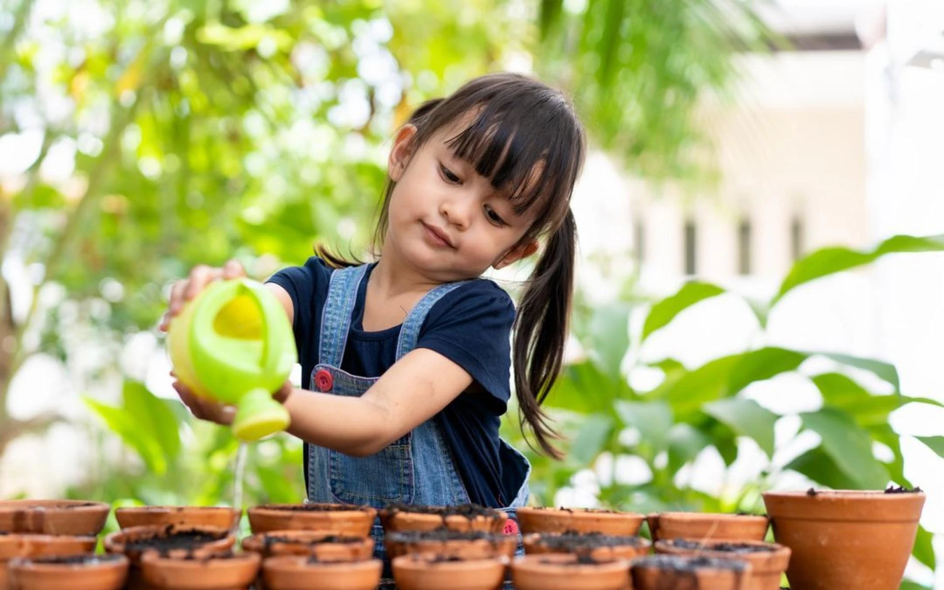Hope Valley Childcare – care and early education!