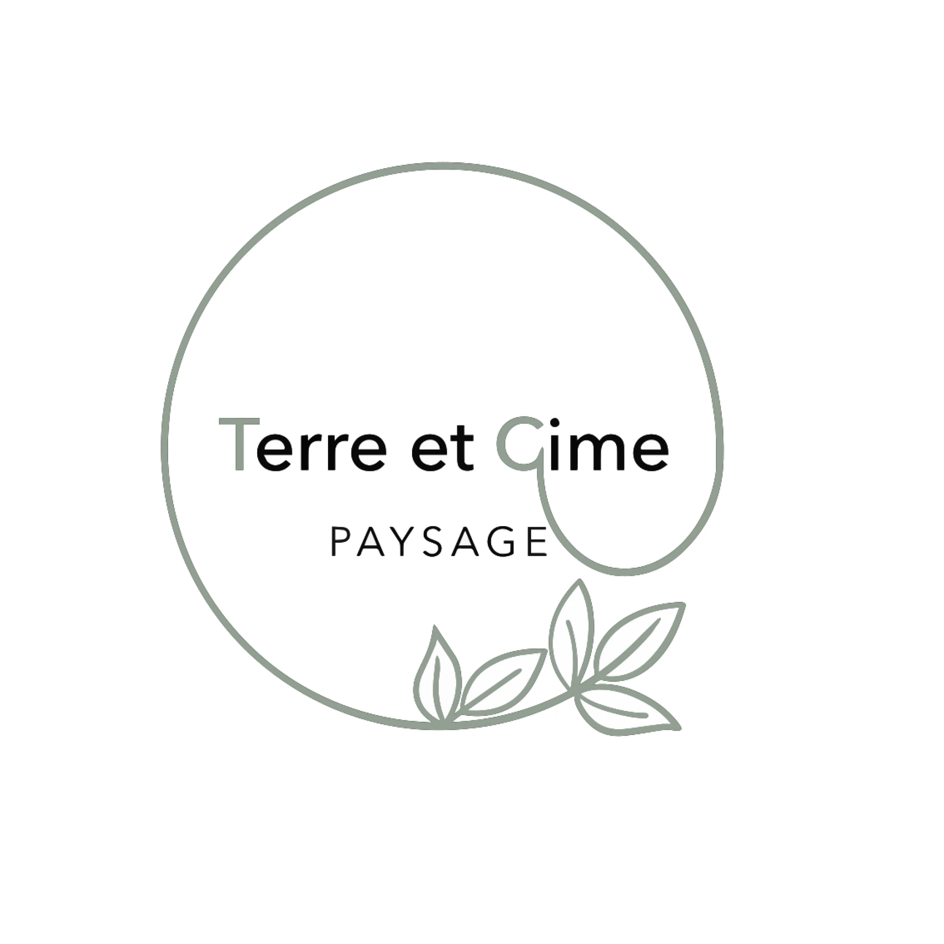Taille de haies : Guide Complet pour un Jardin Structuré et Esthétique