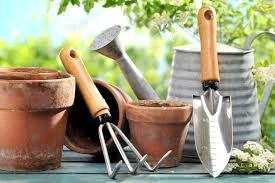 Essential Gardening Tools and Accessories for Every Home Gardener