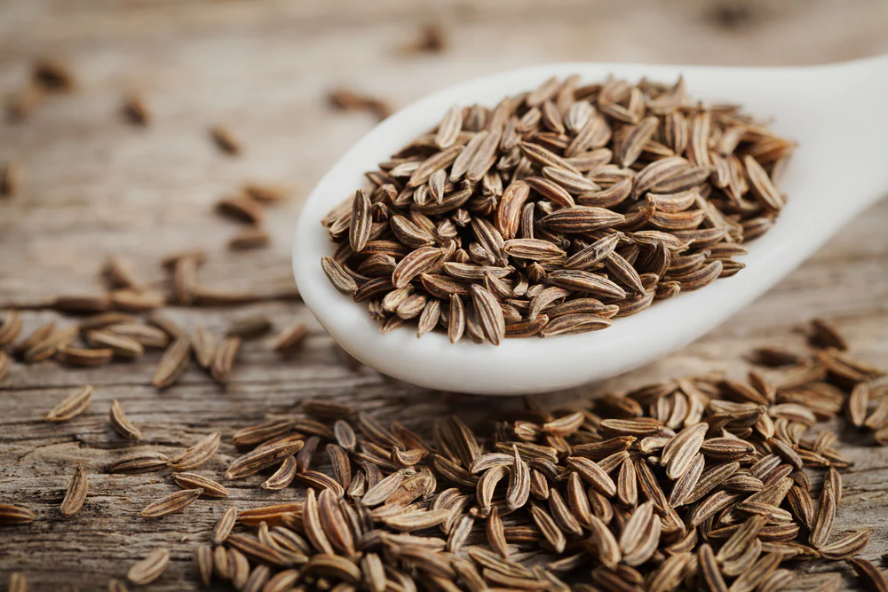 Cumin Seeds Exporter from India: Simple Guide for Buyers Before You Import