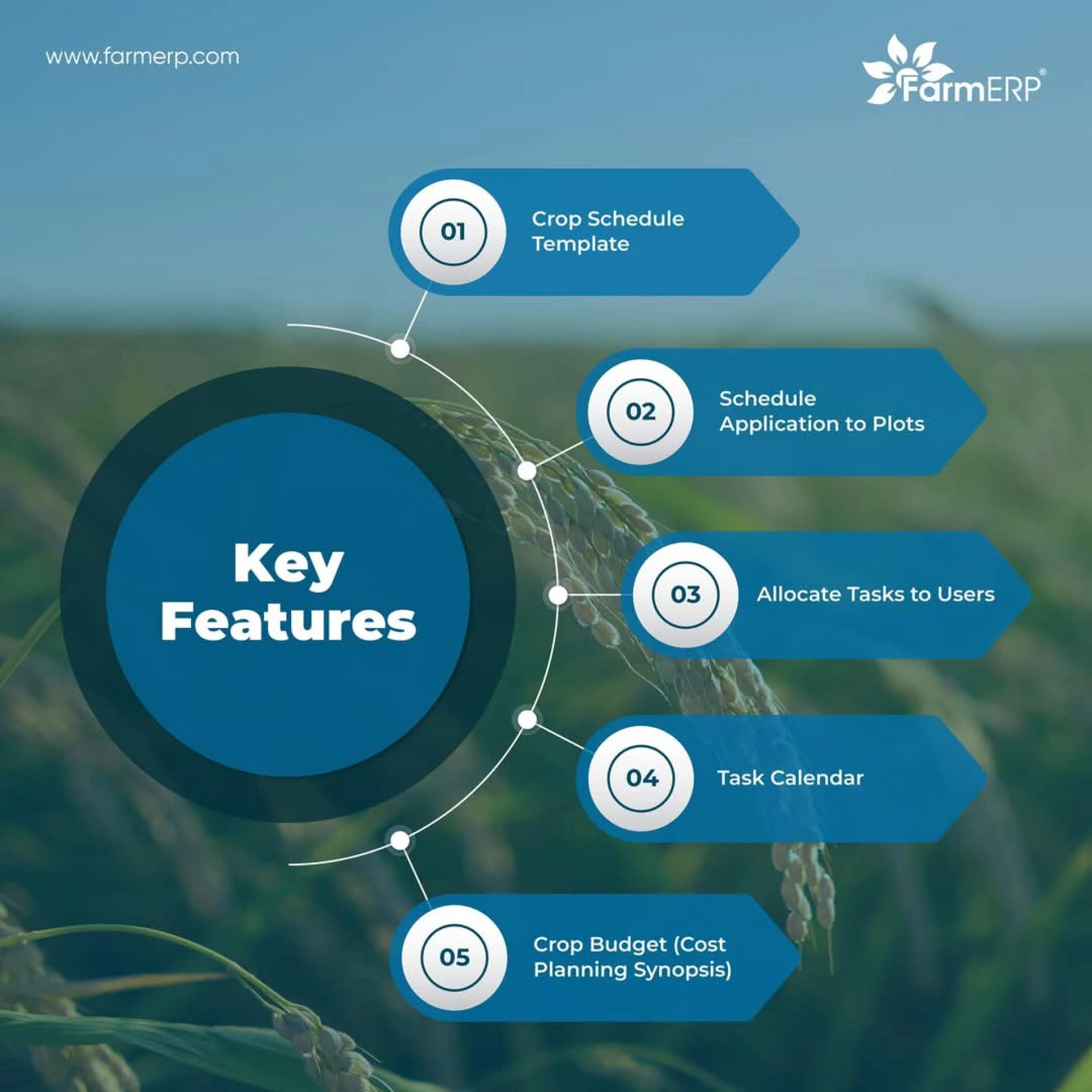 Top Agriculture Management Strategies for 2024 | Boost Productivity & Sustainability