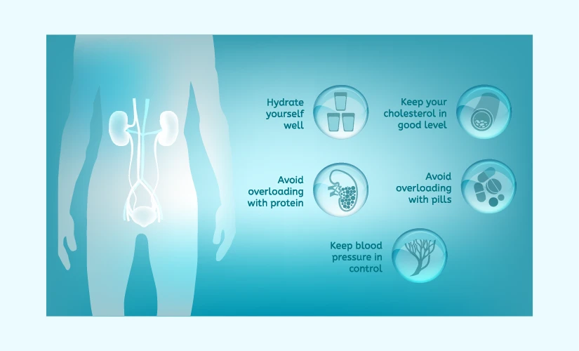 How Your Kidneys Keep You Healthy – And What Happens When They Don’t