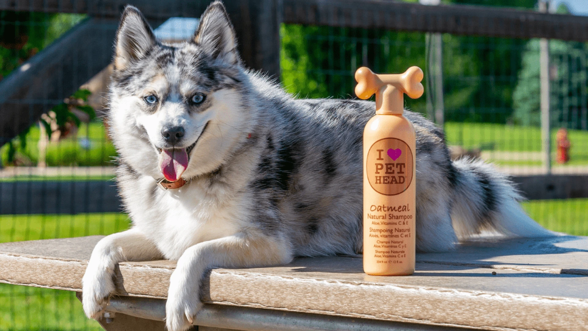 Why Choosing a Natural Dog Shampoo Matters for Your Pet’s Wellbeing
