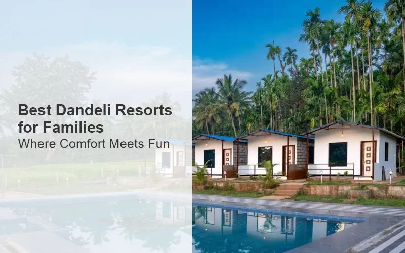 Best Dandeli Resorts for Families: Where Comfort Meets Fun